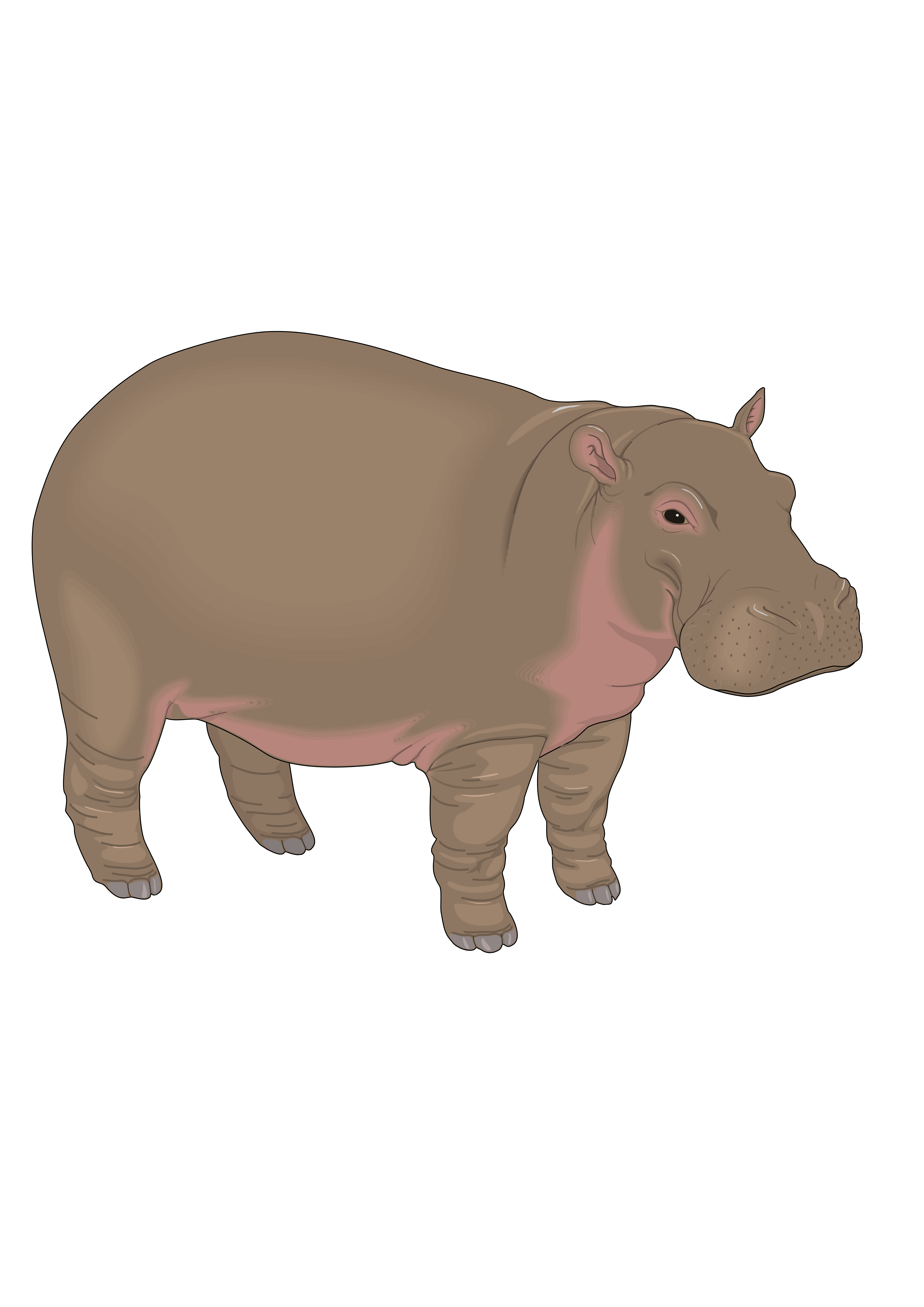 Un hippopotame. Par Clker-Free-Vector-, Canva