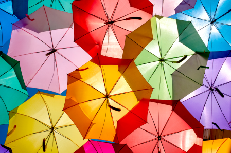 Des parapluies de couleurs différentes. Par onlyfabrizio, licence Canva.