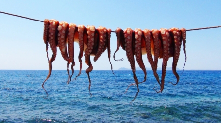 Poulpes suspendus de Santorin. Par Oleg Jeremin, https://pixabay.com/fr/photos/poulpe-aliments-mer-corde-suspendu-6200353/